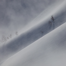 snow,snow artist,japanese photographer,日本の写真家、雪の写真、雪の造形、雪アート、japan art