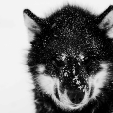Arktic,Tsutomu Endo,Japanese photographer,えんどう　つとむ、雪の写真家、氷の造形、アイスランド、氷の写真、芸術写真、