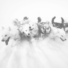 Arctic,Eskimo,Sapmi,Polar,