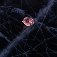 温暖化、氷河、北極、写真家、日本、遠藤　励、memory of water,Akashic records,snow board photographer、スノーボードフォトグラファー