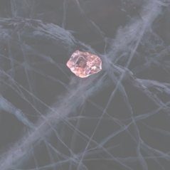 温暖化、氷河、北極、写真家、日本、遠藤　励、memory of water,Akashic records,snow board photographer、スノーボードフォトグラファー