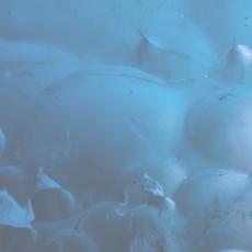 Glacier photo,Atr photo.Iceland photo,雪の写真家、氷の芸術、水の記憶、遠藤　励、Tsutomu Endo,Japanese photographer,氷の造形、芸術写真家